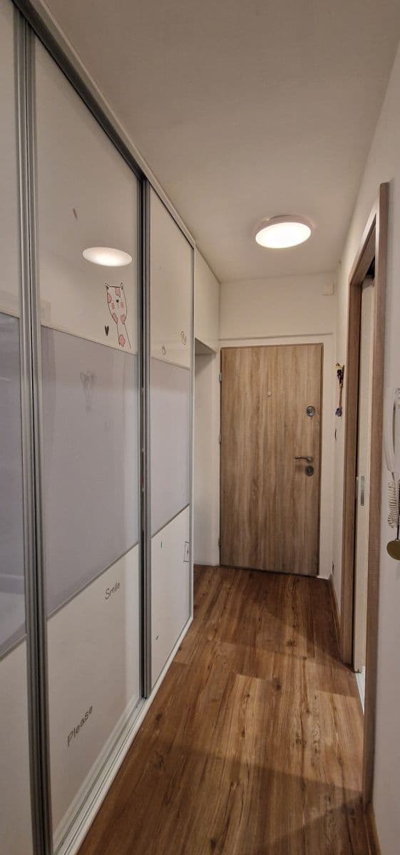 1 bedroom with open-plan kitchen flat to rent, 43 m², Modrá, Prague, Prague 1 bedroom with open-plan kitchen flat to rent, 43 m², Modrá, Prague, Prague