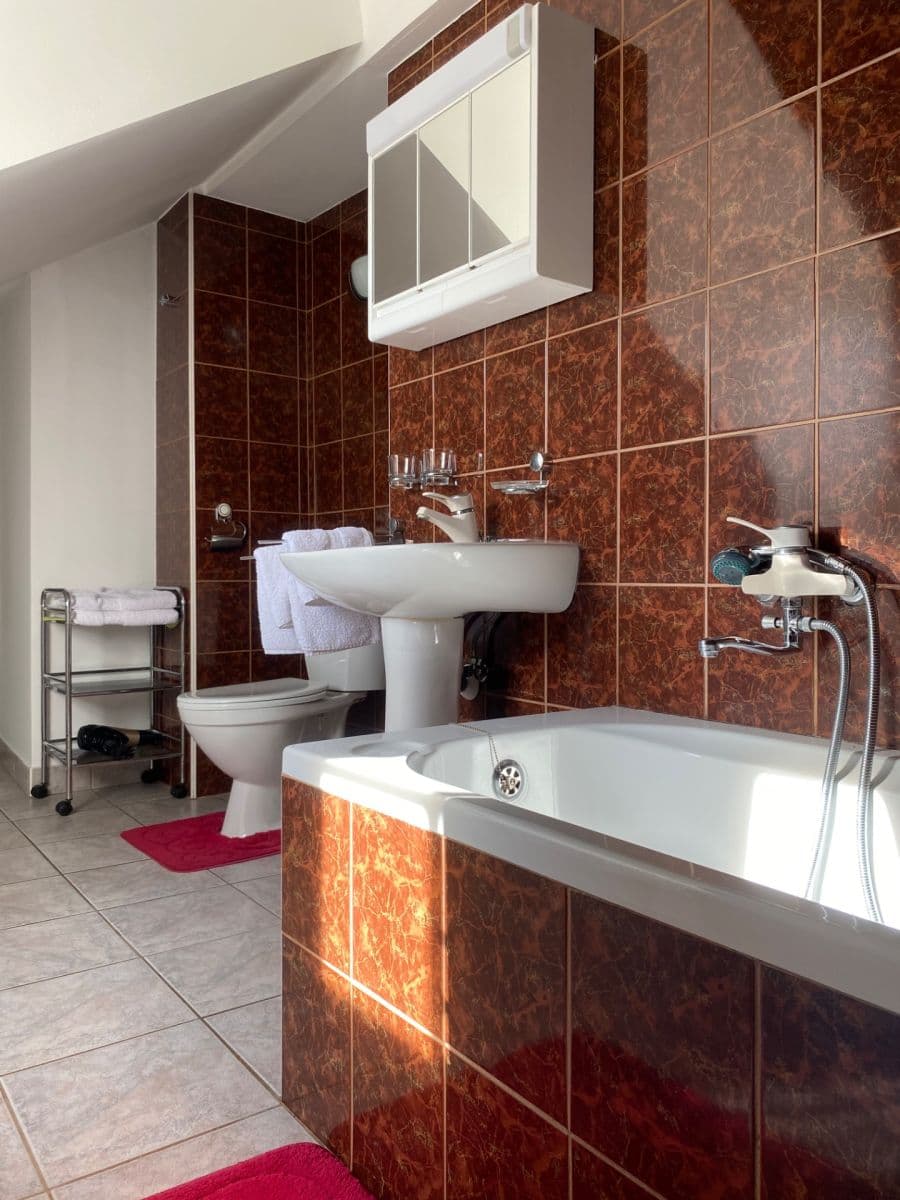 Studio flat to rent, 40 m², Hradební, Tábor, Jihočeský Region Studio flat to rent, 40 m², Hradební, Tábor, Jihočeský Region