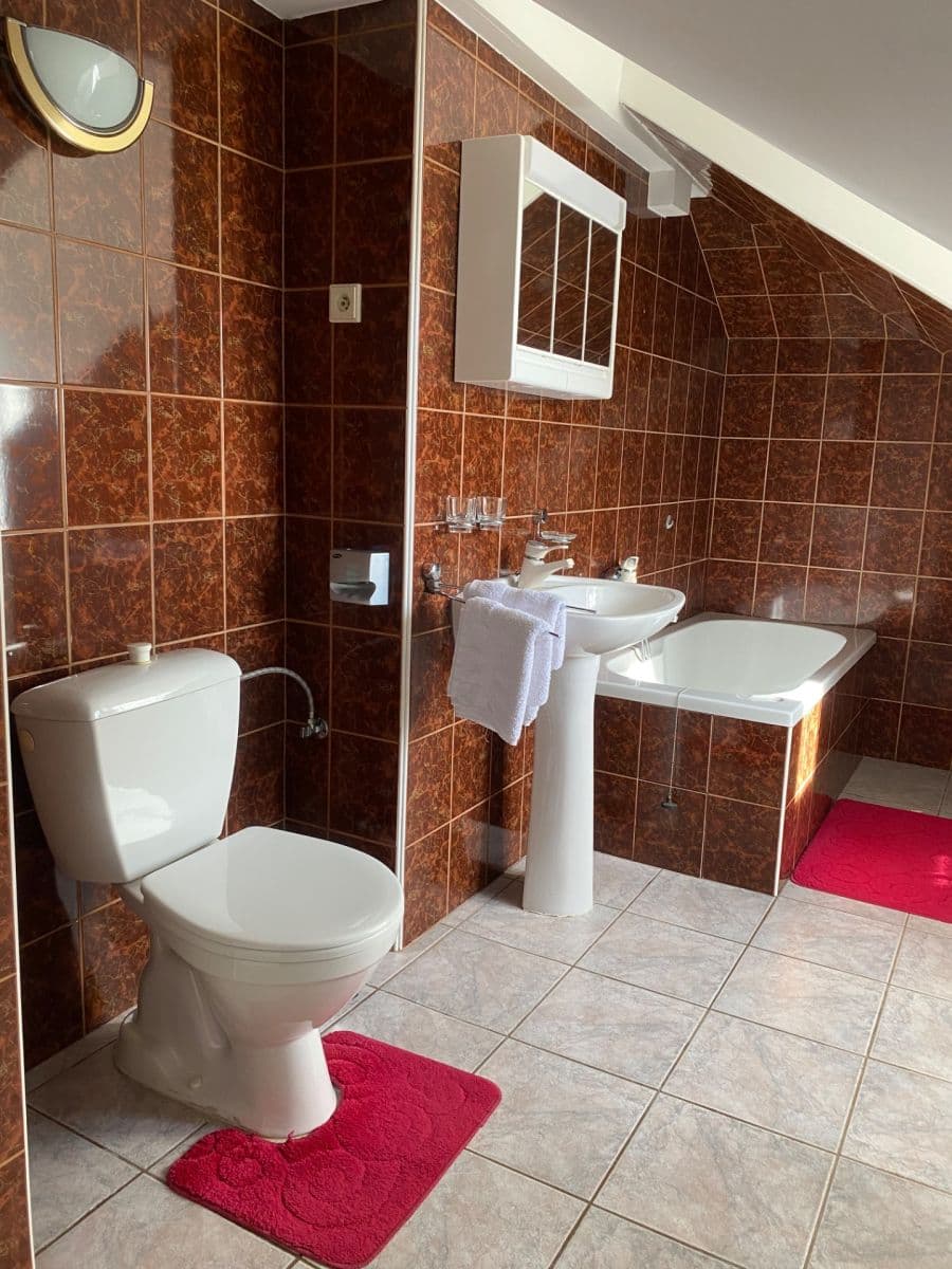 Studio flat to rent, 40 m², Hradební, Tábor, Jihočeský Region Studio flat to rent, 40 m², Hradební, Tábor, Jihočeský Region