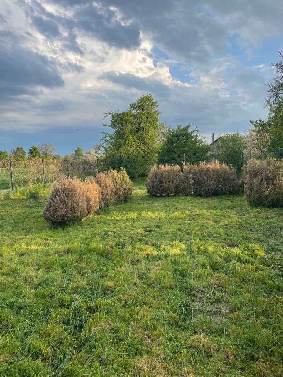 plot to rent, 491 m², Lešany, Olomoucký Region plot to rent, 491 m², Lešany, Olomoucký Region