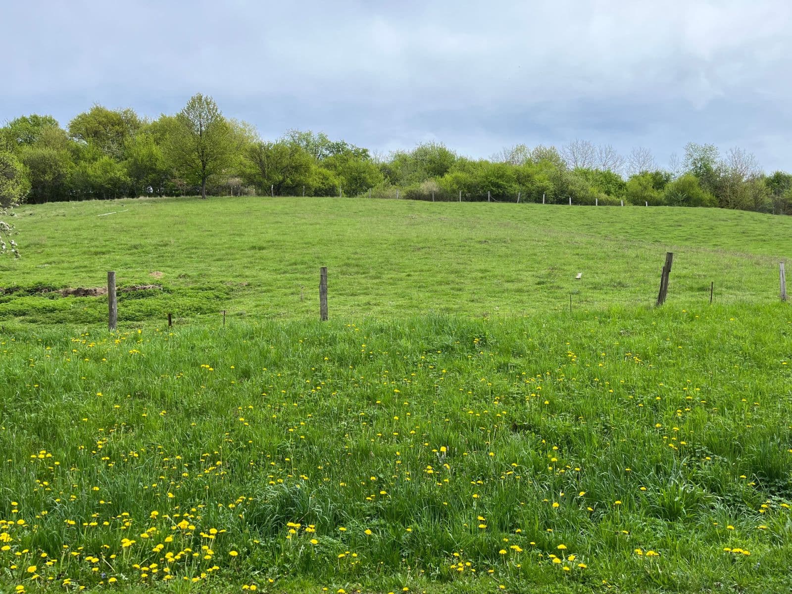 plot for sale, 2,010 m², V Drahách, Luhačovice, Zlínský Region plot for sale, 2,010 m², V Drahách, Luhačovice, Zlínský Region