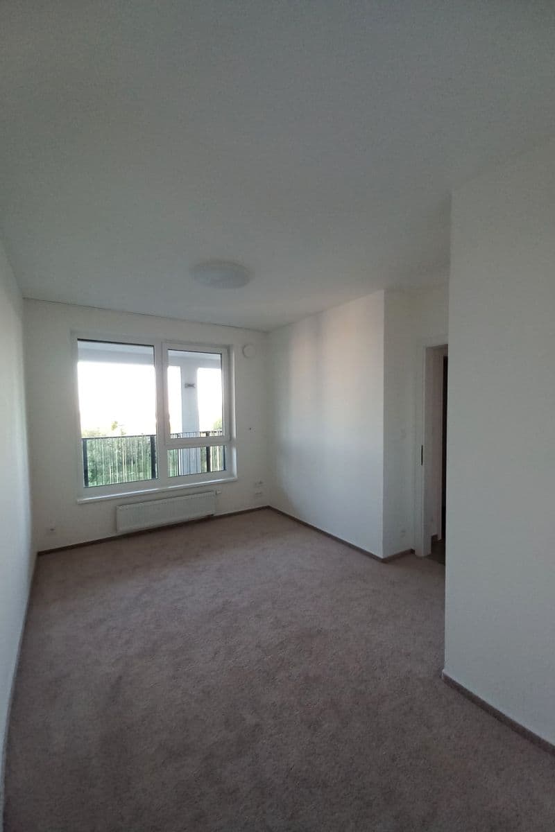 1 bedroom with open-plan kitchen flat to rent, 53 m², Huppnerova, Prague, Prague 1 bedroom with open-plan kitchen flat to rent, 53 m², Huppnerova, Prague, Prague