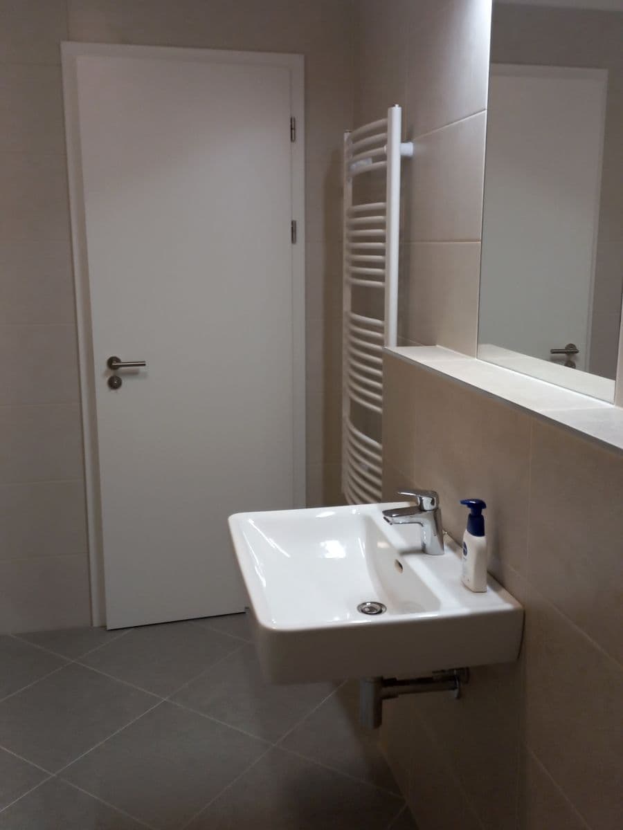 1 bedroom with open-plan kitchen flat to rent, 53 m², Huppnerova, Prague, Prague 1 bedroom with open-plan kitchen flat to rent, 53 m², Huppnerova, Prague, Prague