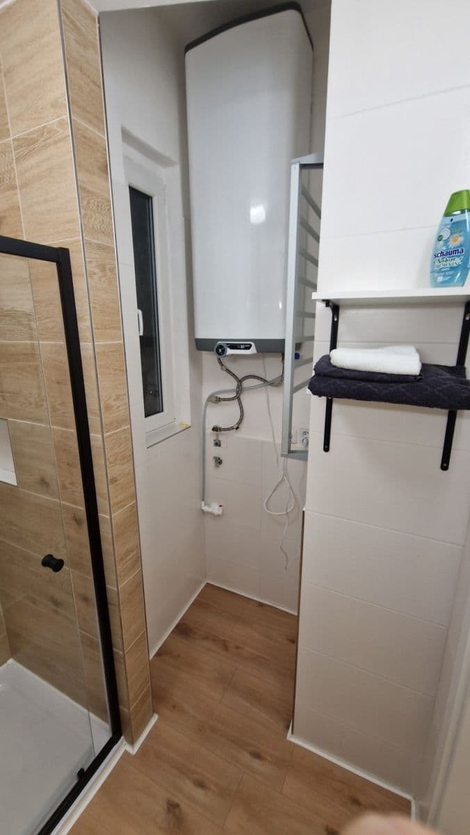 1 bedroom with open-plan kitchen flat to rent, 45 m², U Libeňského pivovaru, Prague, Prague 1 bedroom with open-plan kitchen flat to rent, 45 m², U Libeňského pivovaru, Prague, Prague