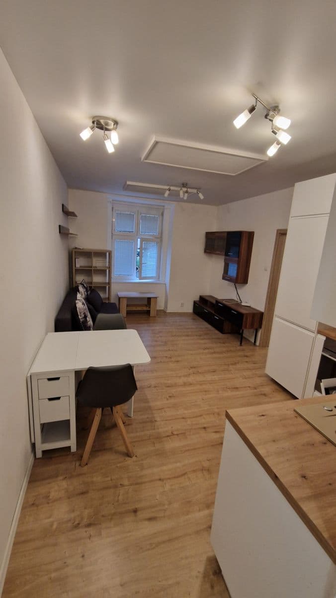 1 bedroom with open-plan kitchen flat to rent, 45 m², U Libeňského pivovaru, Prague, Prague 1 bedroom with open-plan kitchen flat to rent, 45 m², U Libeňského pivovaru, Prague, Prague