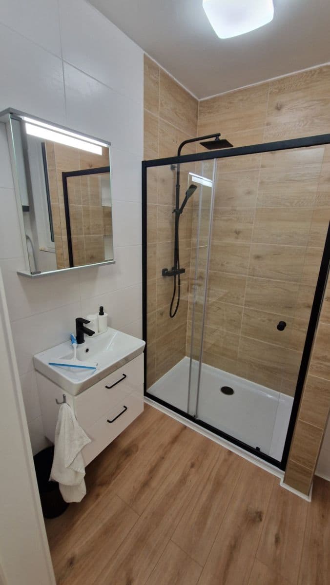 1 bedroom with open-plan kitchen flat to rent, 45 m², U Libeňského pivovaru, Prague, Prague 1 bedroom with open-plan kitchen flat to rent, 45 m², U Libeňského pivovaru, Prague, Prague