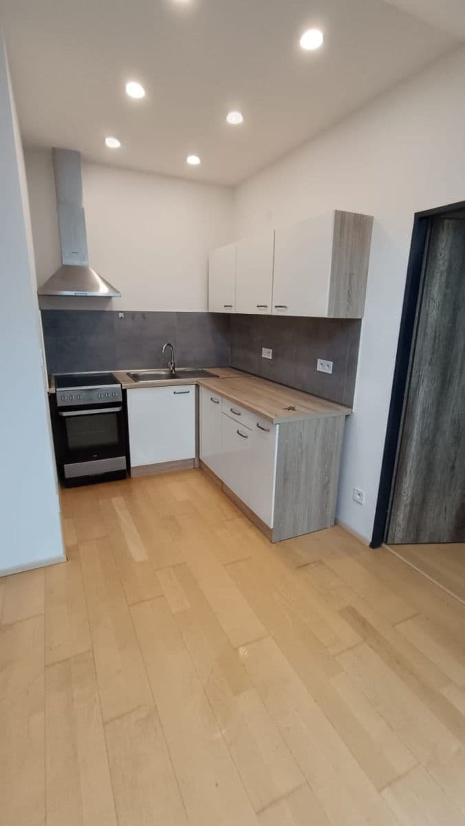 1 bedroom with open-plan kitchen flat to rent, 42 m², Nerudova, Hradec Králové, Královéhradecký Region 1 bedroom with open-plan kitchen flat to rent, 42 m², Nerudova, Hradec Králové, Královéhradecký Region