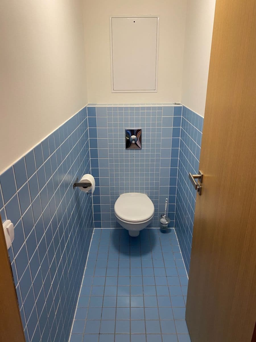 1 bedroom with open-plan kitchen flat to rent, 68 m², Univerzitní, Prague, Prague 1 bedroom with open-plan kitchen flat to rent, 68 m², Univerzitní, Prague, Prague