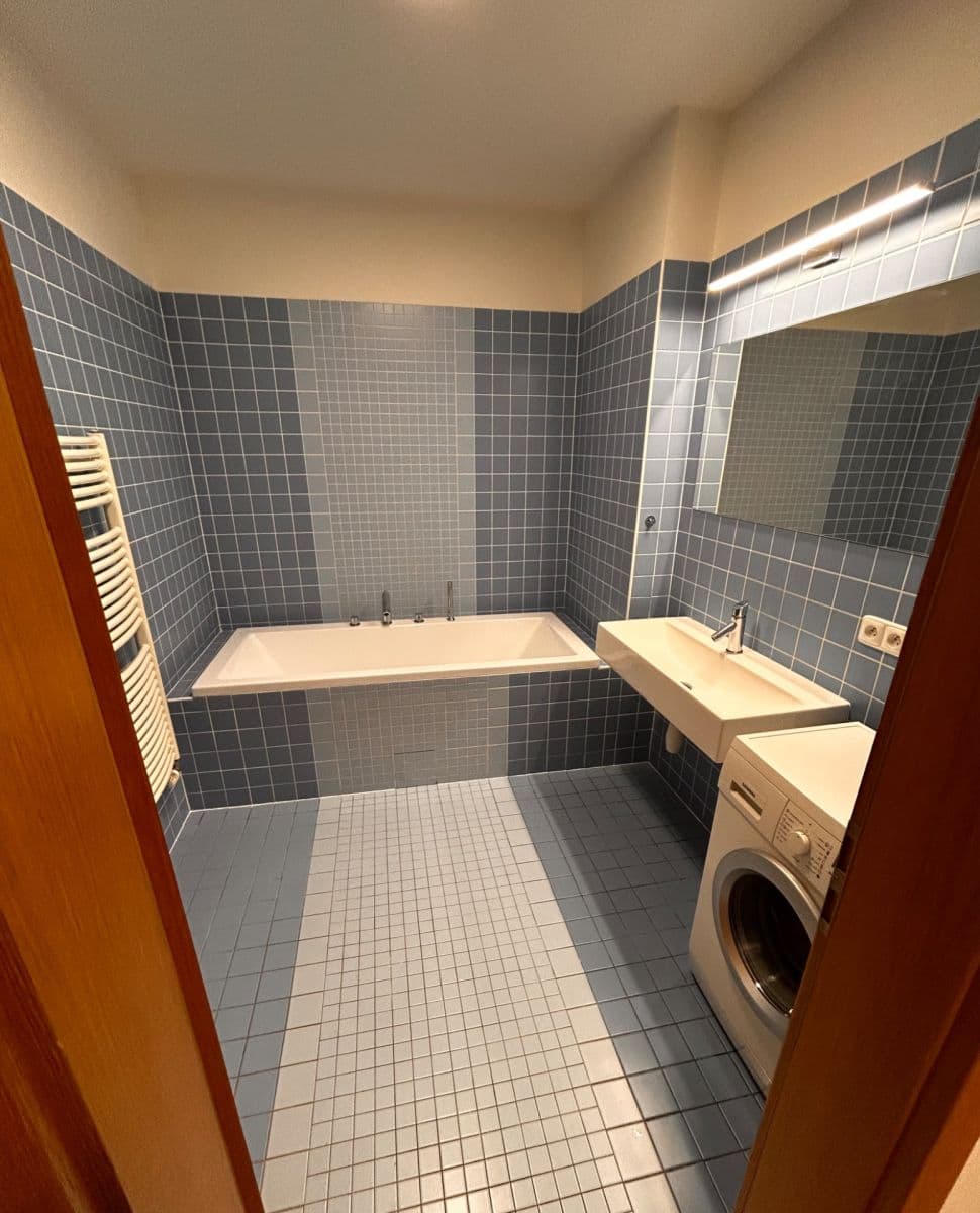 1 bedroom with open-plan kitchen flat to rent, 68 m², Univerzitní, Prague, Prague 1 bedroom with open-plan kitchen flat to rent, 68 m², Univerzitní, Prague, Prague