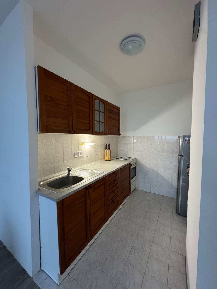 1 bedroom with open-plan kitchen flat to rent, 43 m², Steinerova, Prague, Prague 1 bedroom with open-plan kitchen flat to rent, 43 m², Steinerova, Prague, Prague