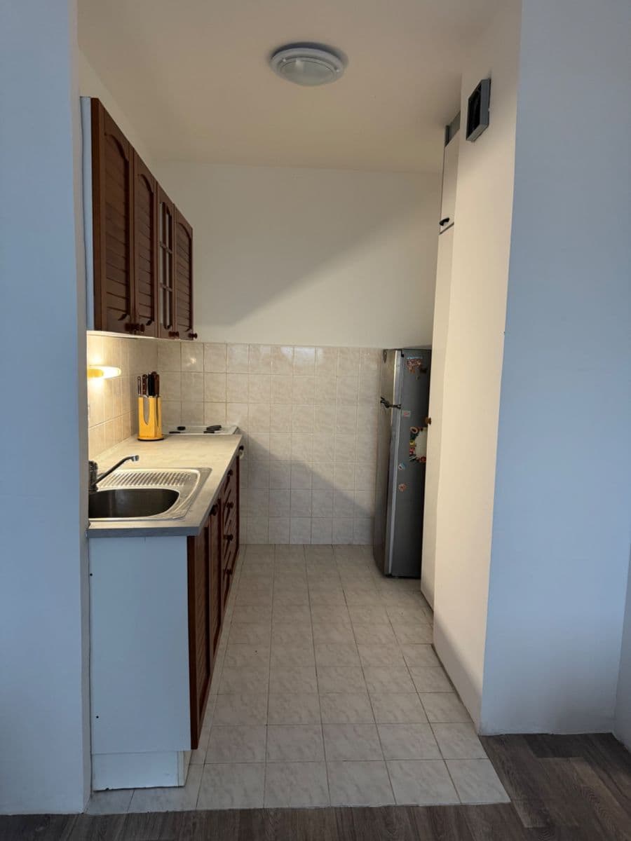 1 bedroom with open-plan kitchen flat to rent, 43 m², Steinerova, Prague, Prague 1 bedroom with open-plan kitchen flat to rent, 43 m², Steinerova, Prague, Prague