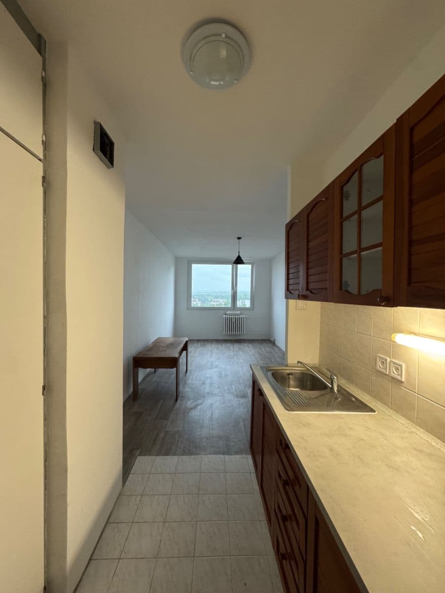 1 bedroom with open-plan kitchen flat to rent, 43 m², Steinerova, Prague, Prague 1 bedroom with open-plan kitchen flat to rent, 43 m², Steinerova, Prague, Prague