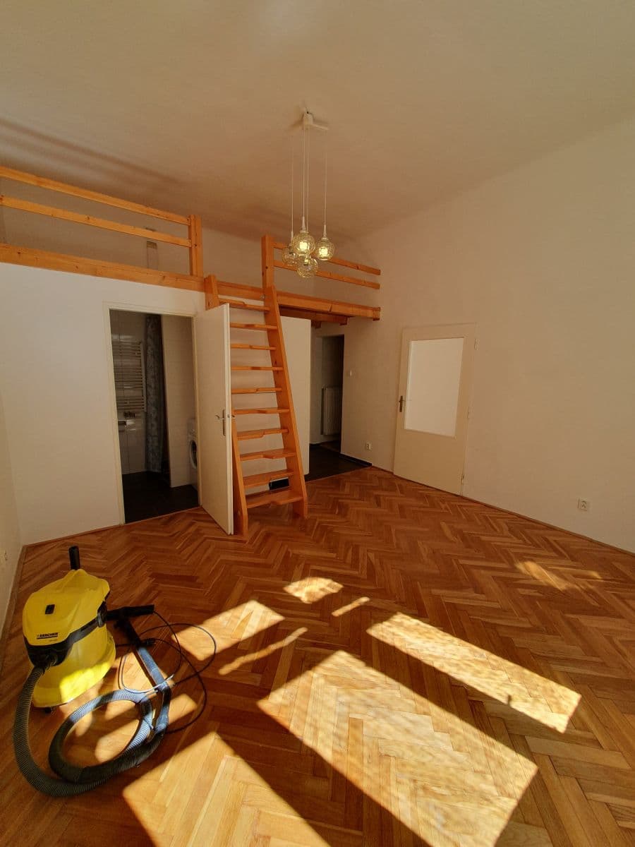 1 bedroom with open-plan kitchen flat to rent, 40 m², Šumavská, Prague, Prague 1 bedroom with open-plan kitchen flat to rent, 40 m², Šumavská, Prague, Prague