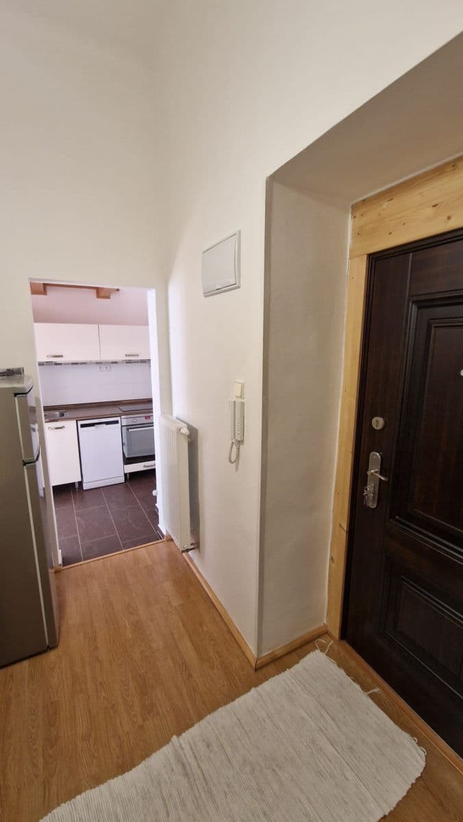 1 bedroom with open-plan kitchen flat to rent, 40 m², Šumavská, Prague, Prague 1 bedroom with open-plan kitchen flat to rent, 40 m², Šumavská, Prague, Prague