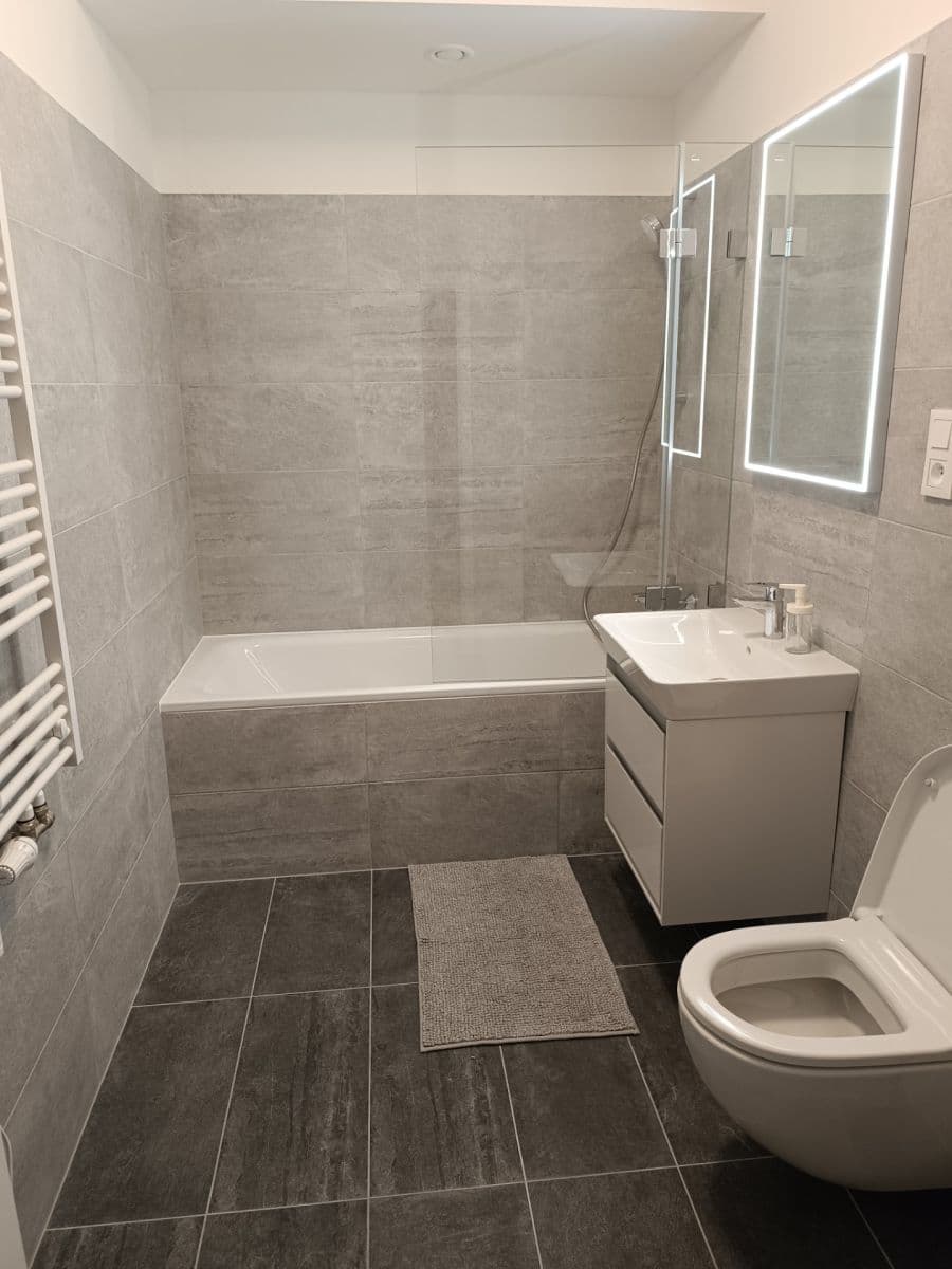 1 bedroom with open-plan kitchen flat to rent, 54 m², Sedlářova, Prague, Prague 1 bedroom with open-plan kitchen flat to rent, 54 m², Sedlářova, Prague, Prague