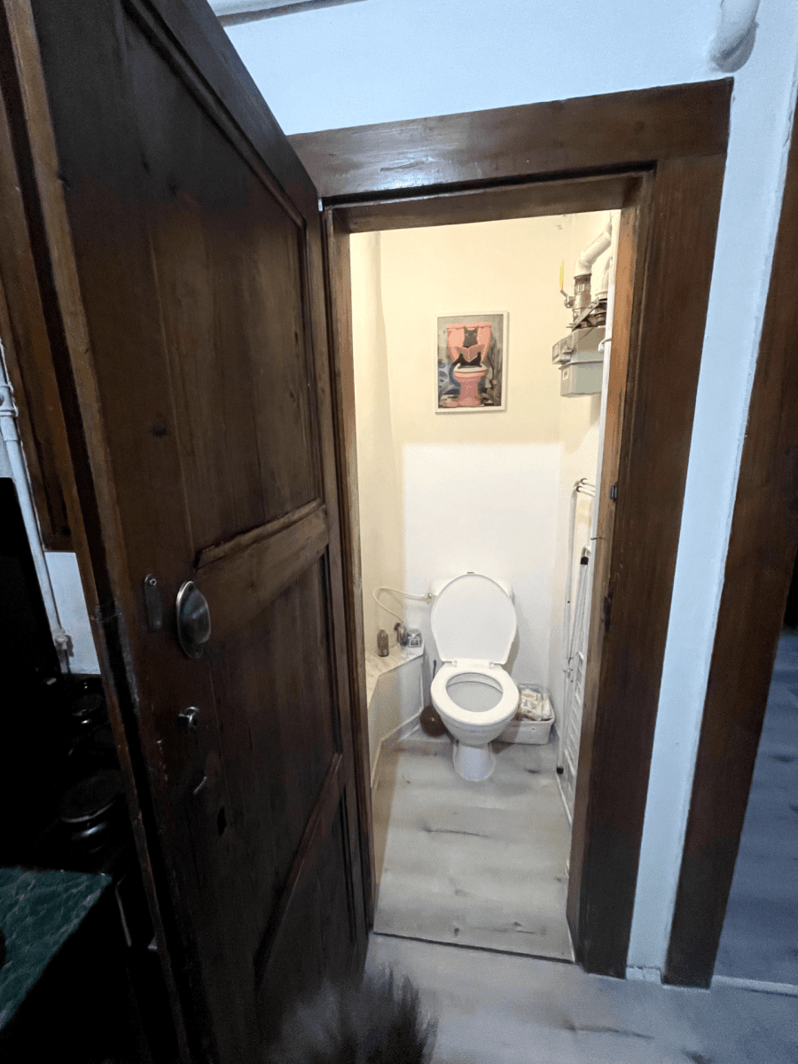 1 bedroom with open-plan kitchen flat to rent, 47 m², Vrchlického, Prague, Prague 1 bedroom with open-plan kitchen flat to rent, 47 m², Vrchlického, Prague, Prague