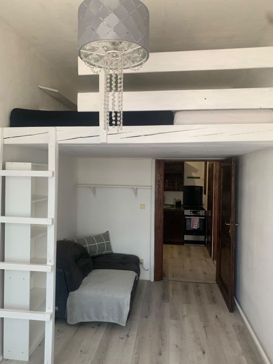 1 bedroom with open-plan kitchen flat to rent, 47 m², Vrchlického, Prague, Prague 1 bedroom with open-plan kitchen flat to rent, 47 m², Vrchlického, Prague, Prague