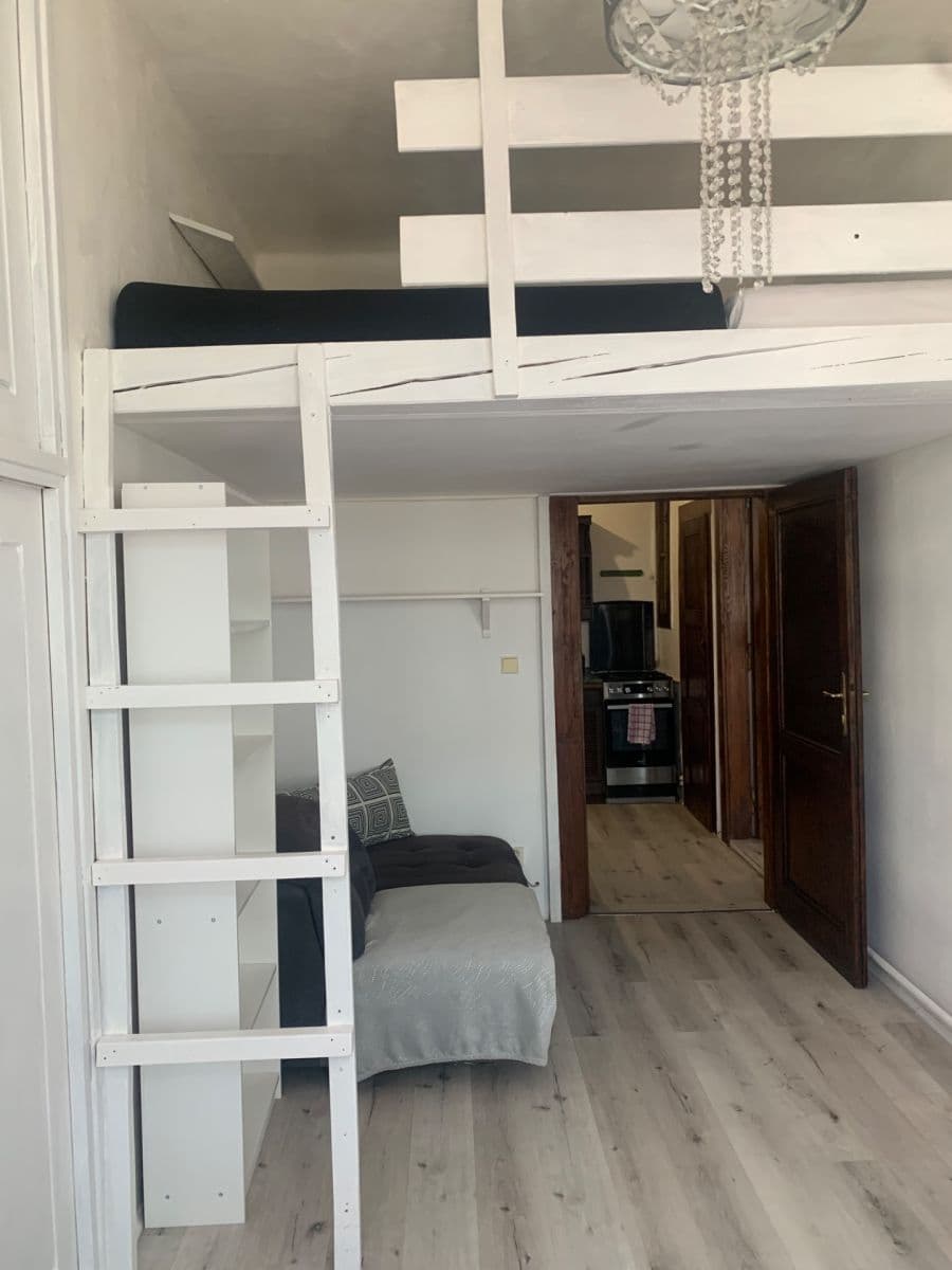 1 bedroom with open-plan kitchen flat to rent, 47 m², Vrchlického, Prague, Prague 1 bedroom with open-plan kitchen flat to rent, 47 m², Vrchlického, Prague, Prague