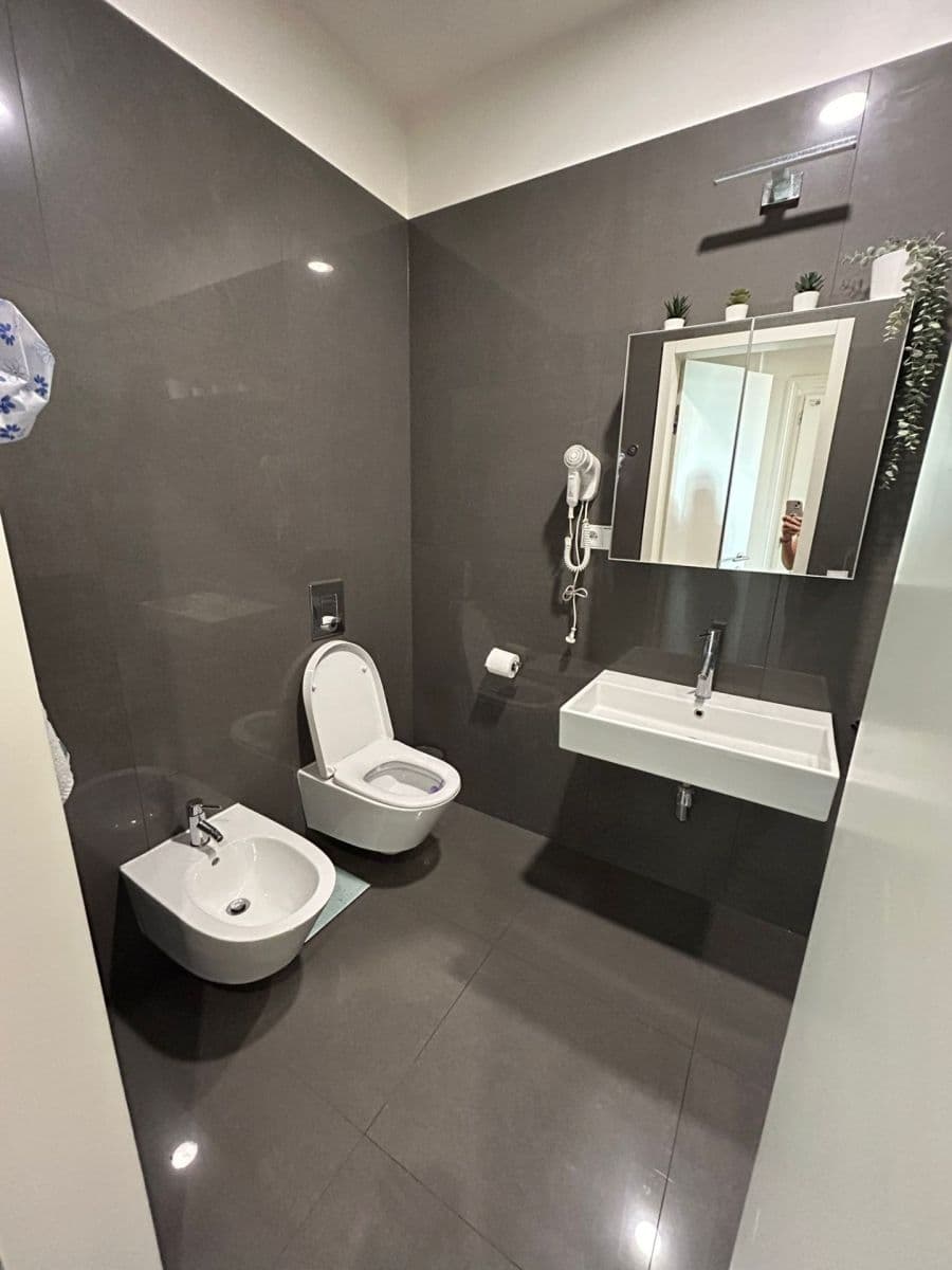 1 bedroom with open-plan kitchen flat to rent, 60 m², Staropramenná, Prague, Prague 1 bedroom with open-plan kitchen flat to rent, 60 m², Staropramenná, Prague, Prague