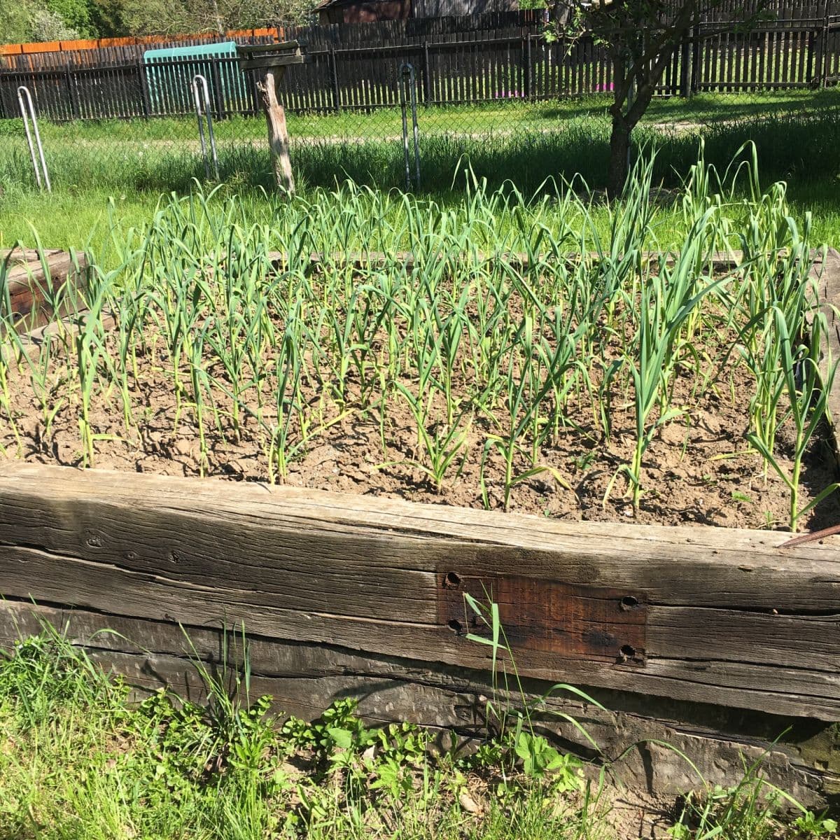 recreational property for sale, 853 m², Nová Lhota, Jihomoravský Region recreational property for sale, 853 m², Nová Lhota, Jihomoravský Region