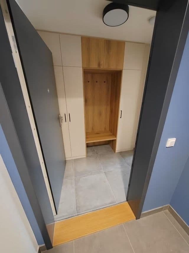 1 bedroom with open-plan kitchen flat to rent, 73 m², Mezi Vodami, Prague, Prague 1 bedroom with open-plan kitchen flat to rent, 73 m², Mezi Vodami, Prague, Prague
