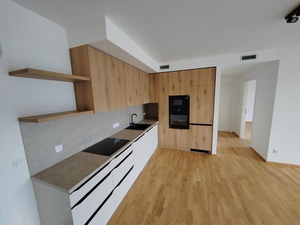 1 bedroom with open-plan kitchen flat to rent, 73 m², Mezi Vodami, Prague, Prague 1 bedroom with open-plan kitchen flat to rent, 73 m², Mezi Vodami, Prague, Prague