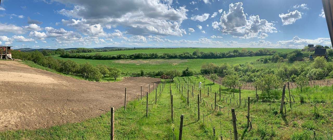 recreational property to rent, 0 m², Pasohlávky, Jihomoravský Region recreational property to rent, 0 m², Pasohlávky, Jihomoravský Region