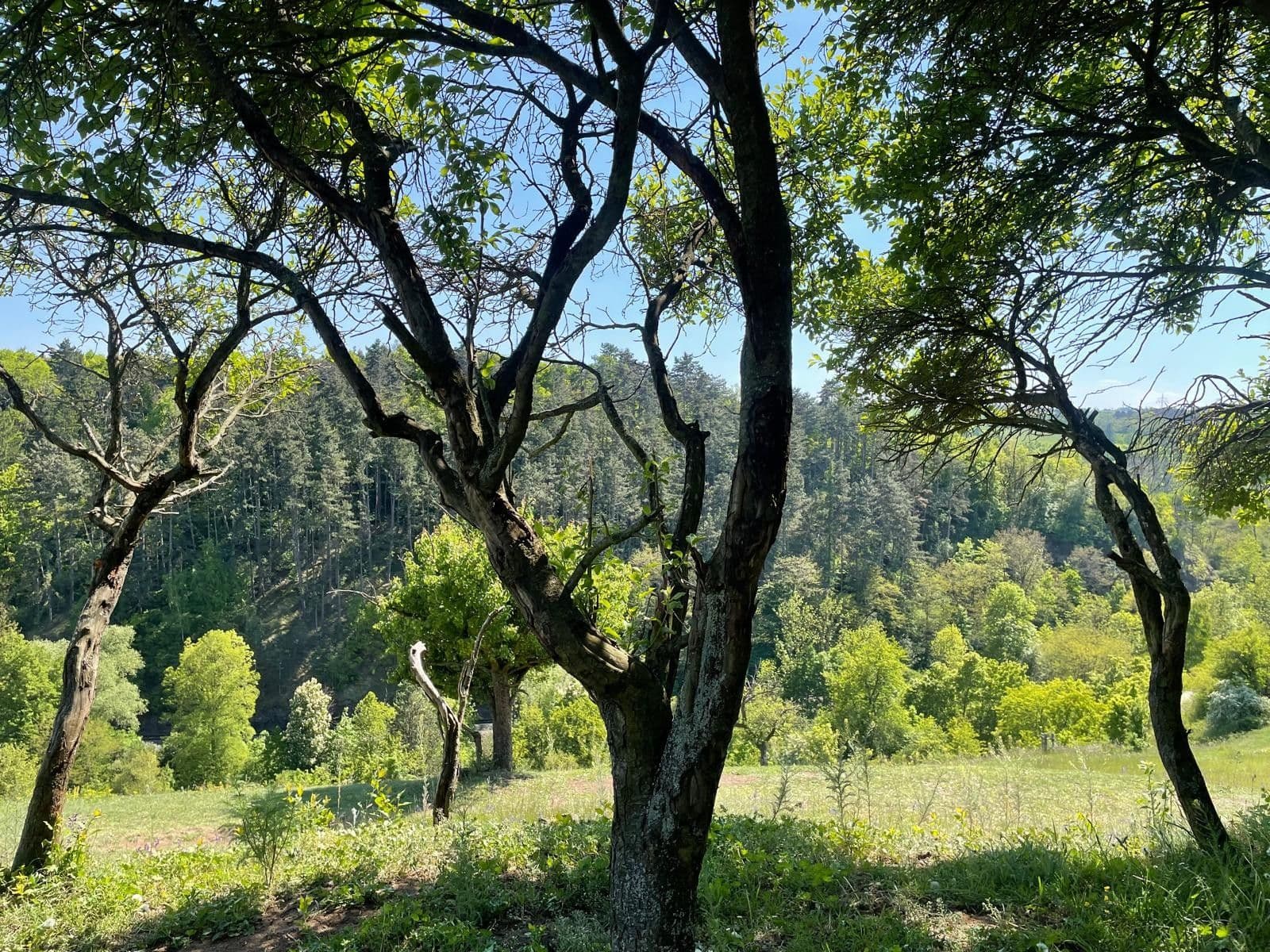 plot for sale, 650 m², Liščí, Prague, Prague plot for sale, 650 m², Liščí, Prague, Prague