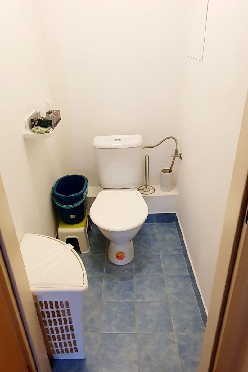 1 bedroom with open-plan kitchen flat to rent, 46 m², Herlíkovická, Prague, Prague 1 bedroom with open-plan kitchen flat to rent, 46 m², Herlíkovická, Prague, Prague