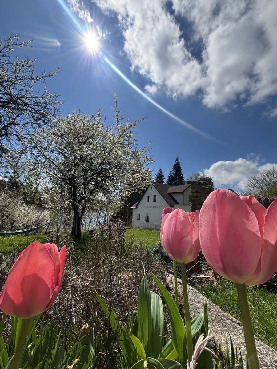 recreational property to rent, 0 m², Blažejov, Jihočeský Region recreational property to rent, 0 m², Blažejov, Jihočeský Region