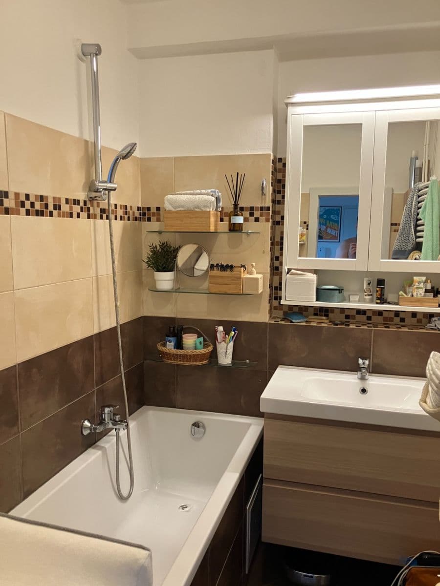 2 bedroom with open-plan kitchen flat for sale, 84 m², Na Mlejnku, Prague, Prague 2 bedroom with open-plan kitchen flat for sale, 84 m², Na Mlejnku, Prague, Prague