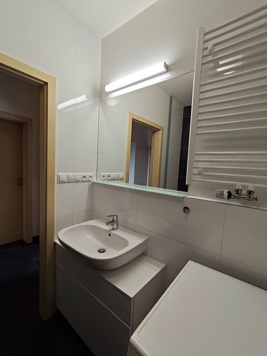 1 bedroom with open-plan kitchen flat to rent, 54 m², Stříbrského, Prague, Prague 1 bedroom with open-plan kitchen flat to rent, 54 m², Stříbrského, Prague, Prague