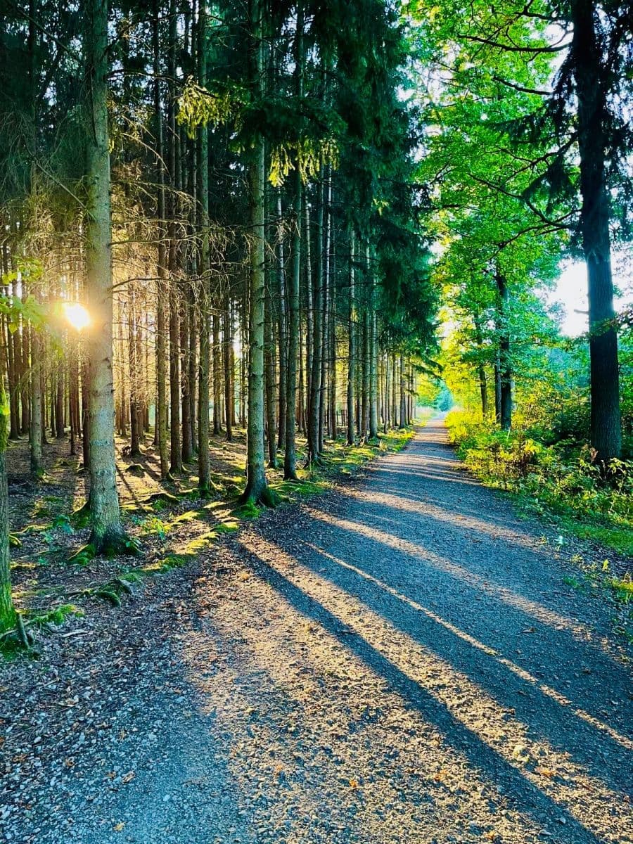 3 bedroom with open-plan kitchen flat for sale, 185 m², Ant. Barcala, České Budějovice, Jihočeský Region 3 bedroom with open-plan kitchen flat for sale, 185 m², Ant. Barcala, České Budějovice, Jihočeský Region