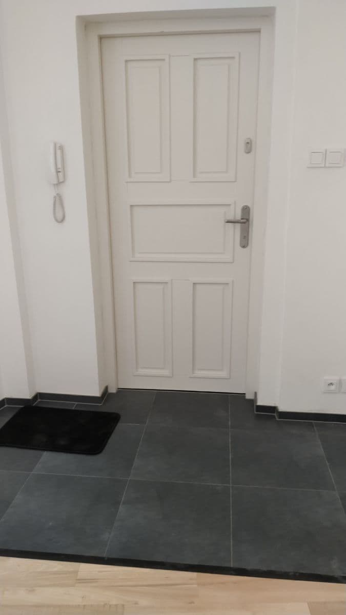 1 bedroom with open-plan kitchen flat to rent, 38 m², Vratislavova, Prague, Prague 1 bedroom with open-plan kitchen flat to rent, 38 m², Vratislavova, Prague, Prague