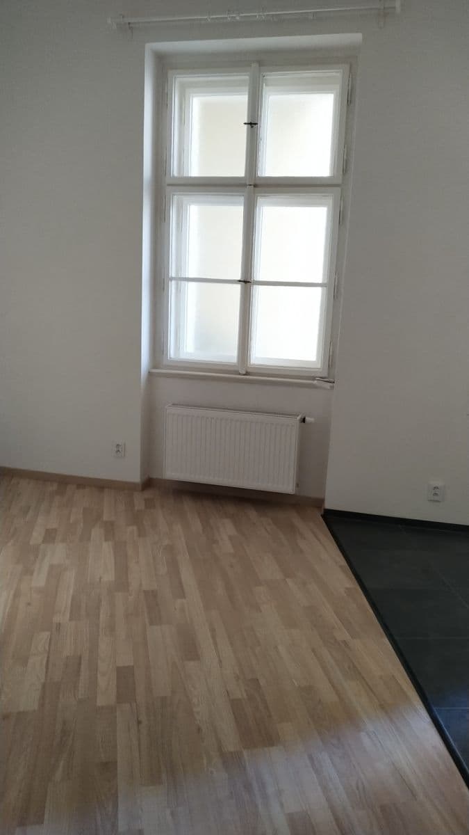 1 bedroom with open-plan kitchen flat to rent, 38 m², Vratislavova, Prague, Prague 1 bedroom with open-plan kitchen flat to rent, 38 m², Vratislavova, Prague, Prague