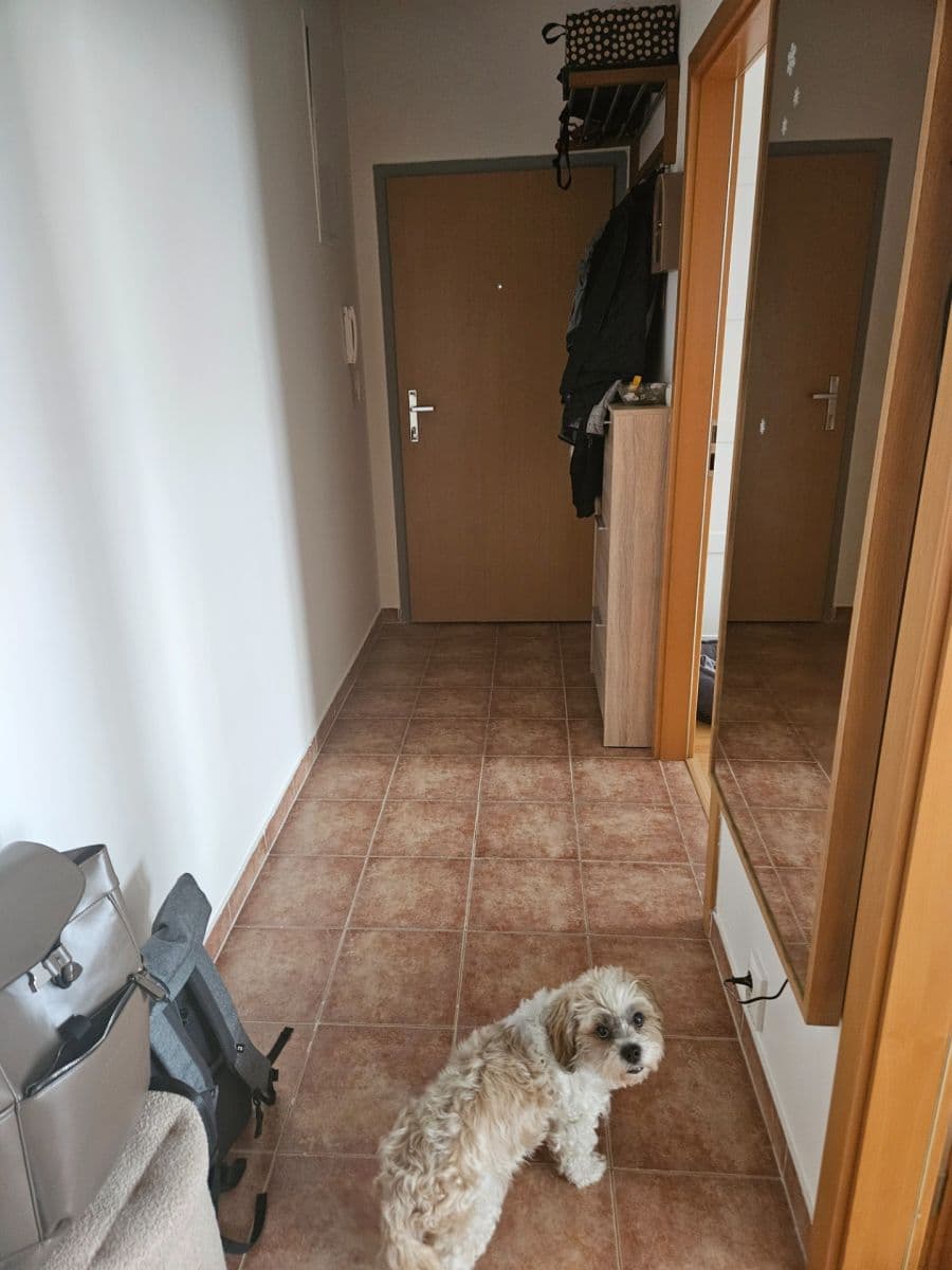 1 bedroom with open-plan kitchen flat to rent, 50 m², Tupolevova, Prague, Prague 1 bedroom with open-plan kitchen flat to rent, 50 m², Tupolevova, Prague, Prague
