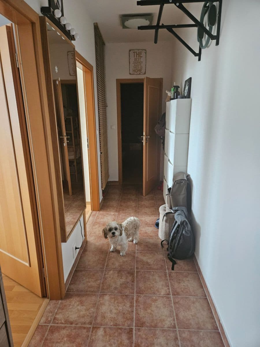 1 bedroom with open-plan kitchen flat to rent, 50 m², Tupolevova, Prague, Prague 1 bedroom with open-plan kitchen flat to rent, 50 m², Tupolevova, Prague, Prague