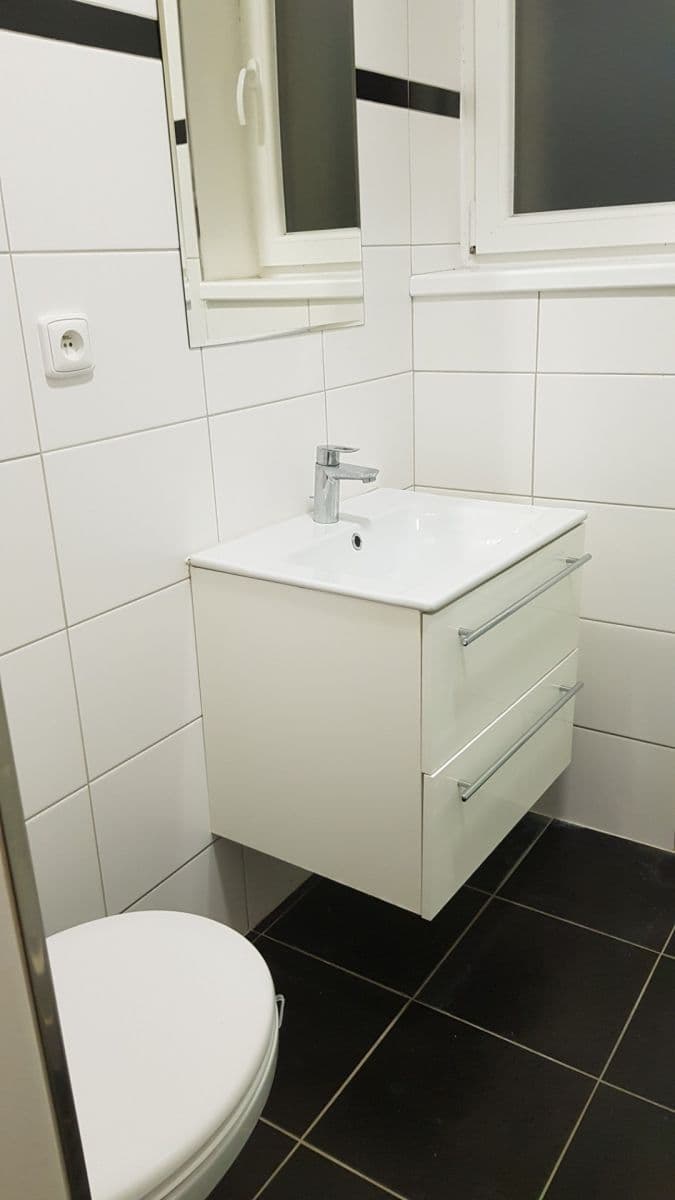 1 bedroom with open-plan kitchen flat to rent, 48 m², Nad Zlíchovem, Prague, Prague 1 bedroom with open-plan kitchen flat to rent, 48 m², Nad Zlíchovem, Prague, Prague