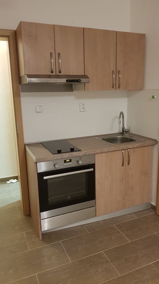 1 bedroom with open-plan kitchen flat to rent, 48 m², Nad Zlíchovem, Prague, Prague 1 bedroom with open-plan kitchen flat to rent, 48 m², Nad Zlíchovem, Prague, Prague