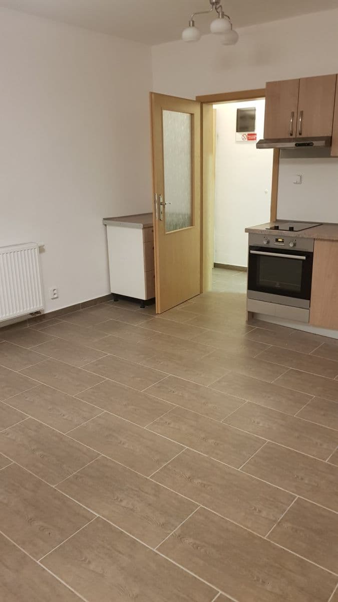 1 bedroom with open-plan kitchen flat to rent, 48 m², Nad Zlíchovem, Prague, Prague 1 bedroom with open-plan kitchen flat to rent, 48 m², Nad Zlíchovem, Prague, Prague