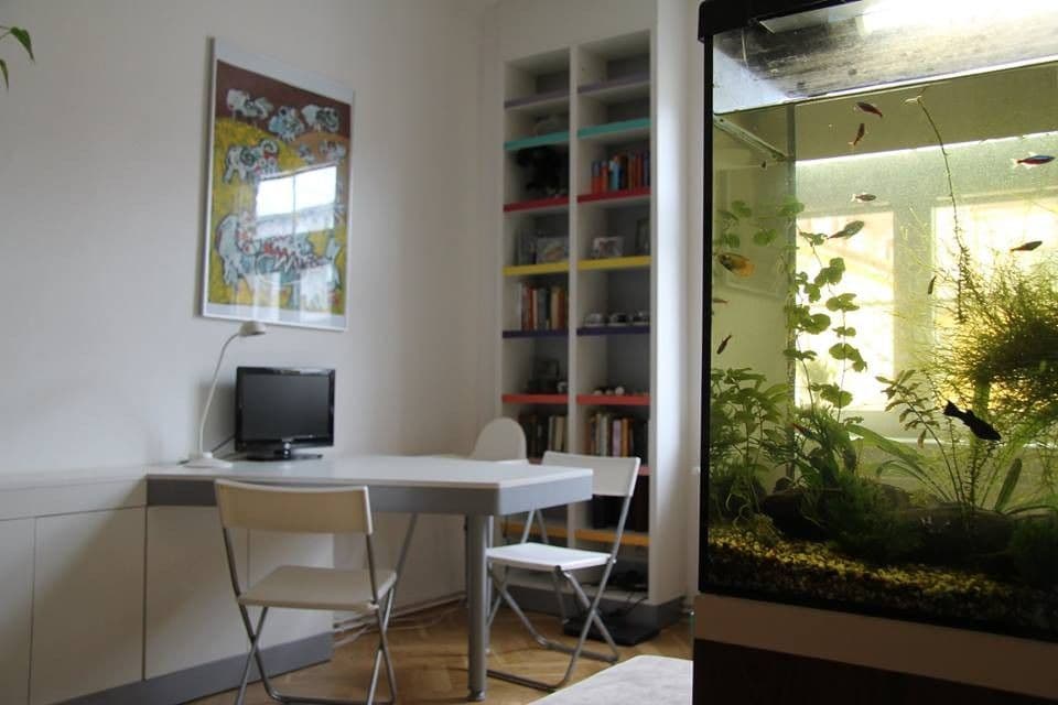 1 bedroom with open-plan kitchen flat to rent, 42 m², Buchovcova, Prague, Prague 1 bedroom with open-plan kitchen flat to rent, 42 m², Buchovcova, Prague, Prague