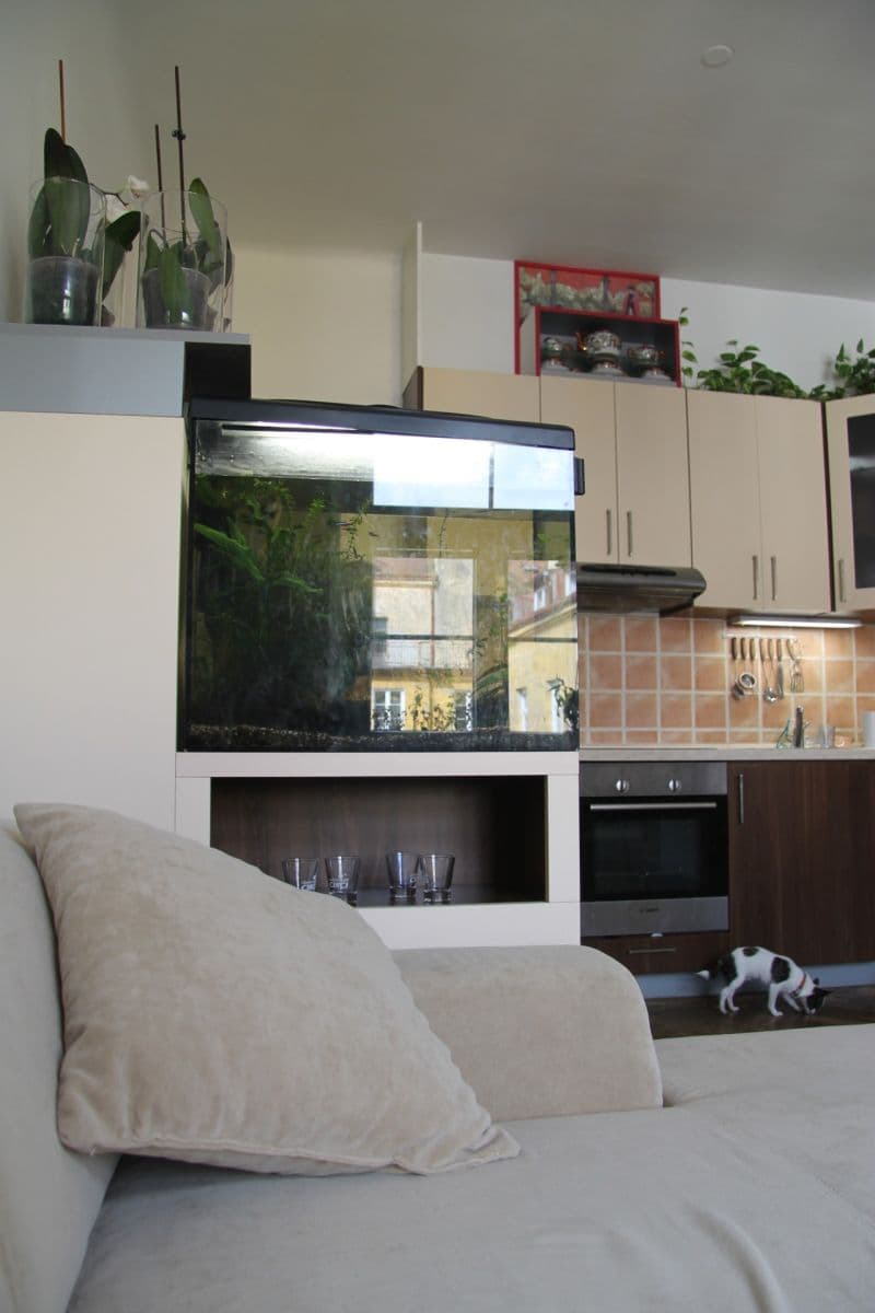 1 bedroom with open-plan kitchen flat to rent, 42 m², Buchovcova, Prague, Prague 1 bedroom with open-plan kitchen flat to rent, 42 m², Buchovcova, Prague, Prague