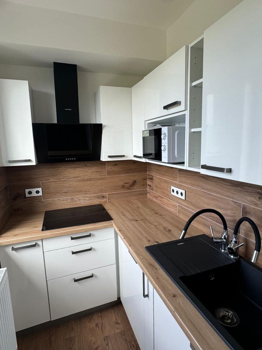 1 bedroom with open-plan kitchen flat to rent, 60 m², Choťánky, Středočeský Region 1 bedroom with open-plan kitchen flat to rent, 60 m², Choťánky, Středočeský Region