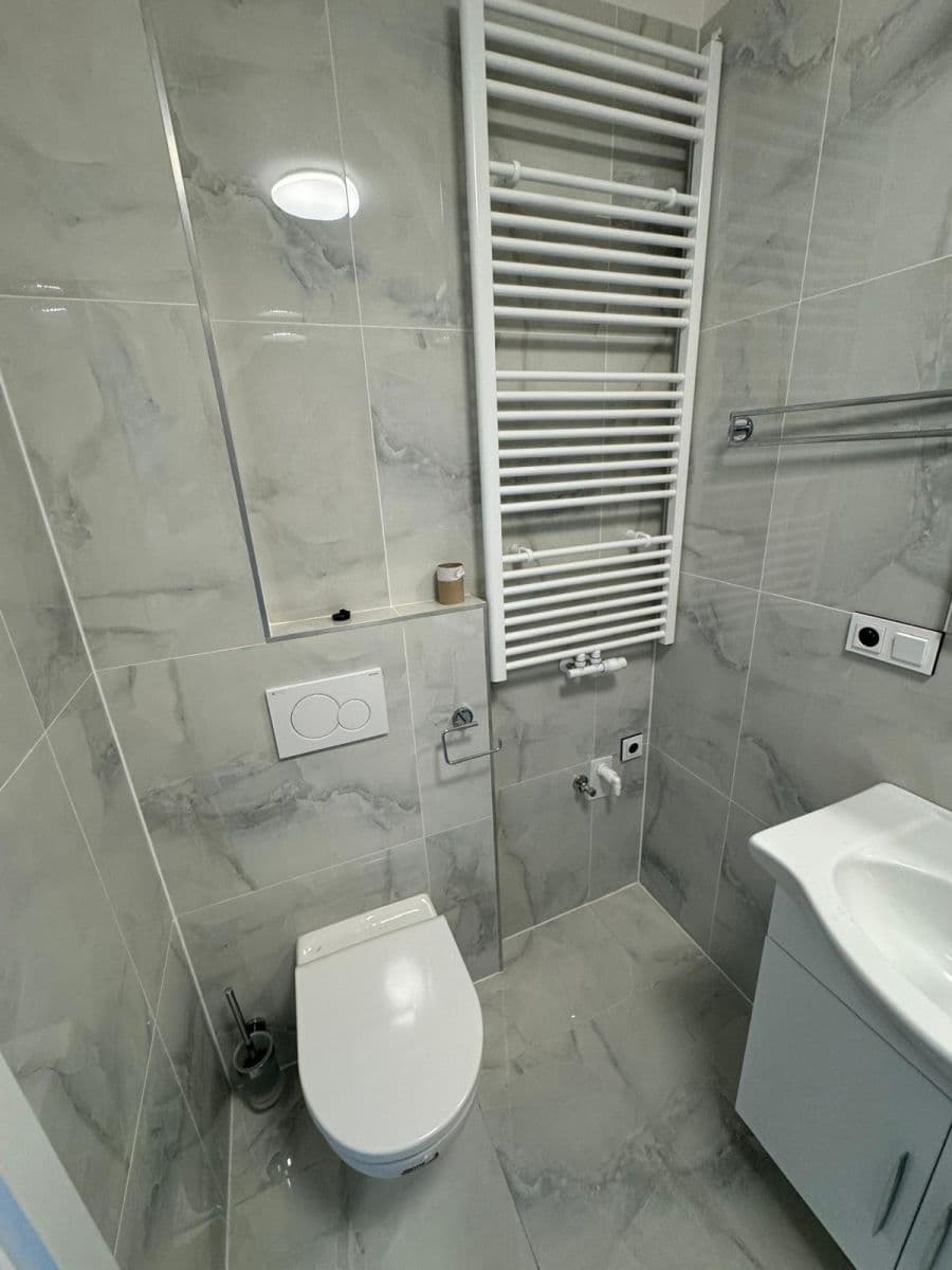 1 bedroom with open-plan kitchen flat to rent, 60 m², Choťánky, Středočeský Region 1 bedroom with open-plan kitchen flat to rent, 60 m², Choťánky, Středočeský Region