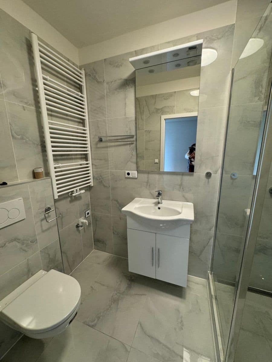 1 bedroom with open-plan kitchen flat to rent, 60 m², Choťánky, Středočeský Region 1 bedroom with open-plan kitchen flat to rent, 60 m², Choťánky, Středočeský Region