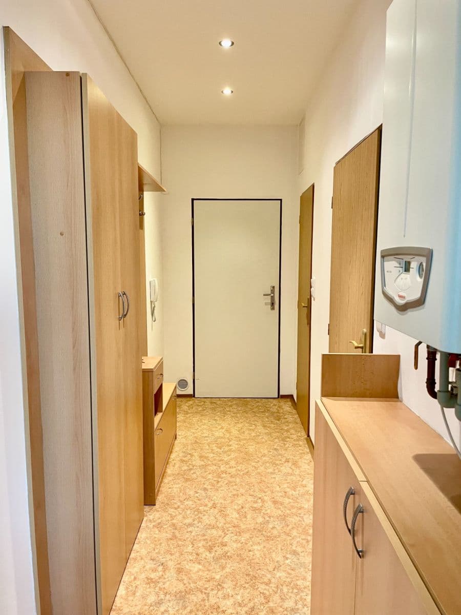 1 bedroom with open-plan kitchen flat to rent, 45 m², Svatoplukova, Liberec, Liberecký Region 1 bedroom with open-plan kitchen flat to rent, 45 m², Svatoplukova, Liberec, Liberecký Region