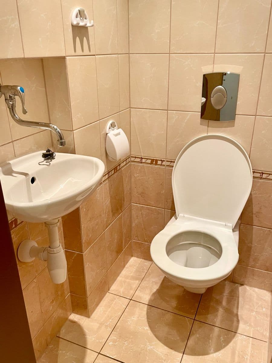 1 bedroom with open-plan kitchen flat to rent, 45 m², Svatoplukova, Liberec, Liberecký Region 1 bedroom with open-plan kitchen flat to rent, 45 m², Svatoplukova, Liberec, Liberecký Region