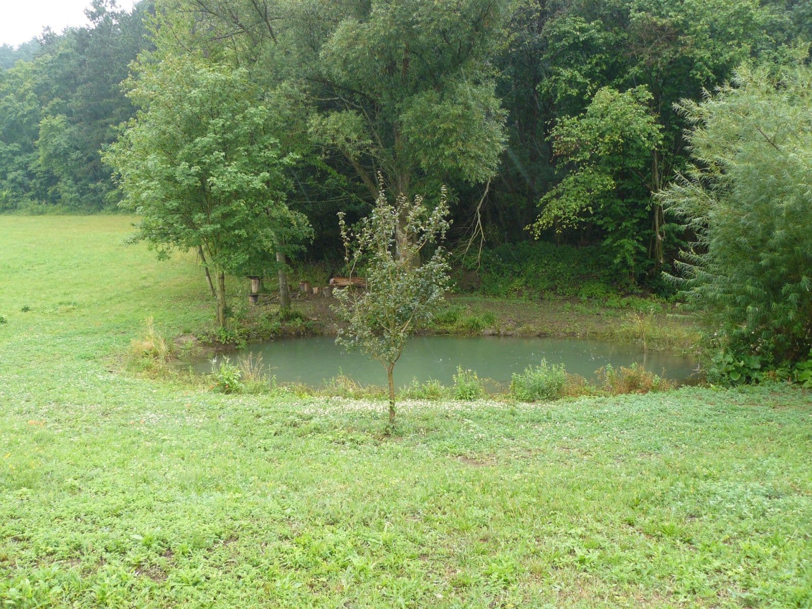 plot for sale, 13,139 m², Lubina, Trenčiansky Region plot for sale, 13,139 m², Lubina, Trenčiansky Region