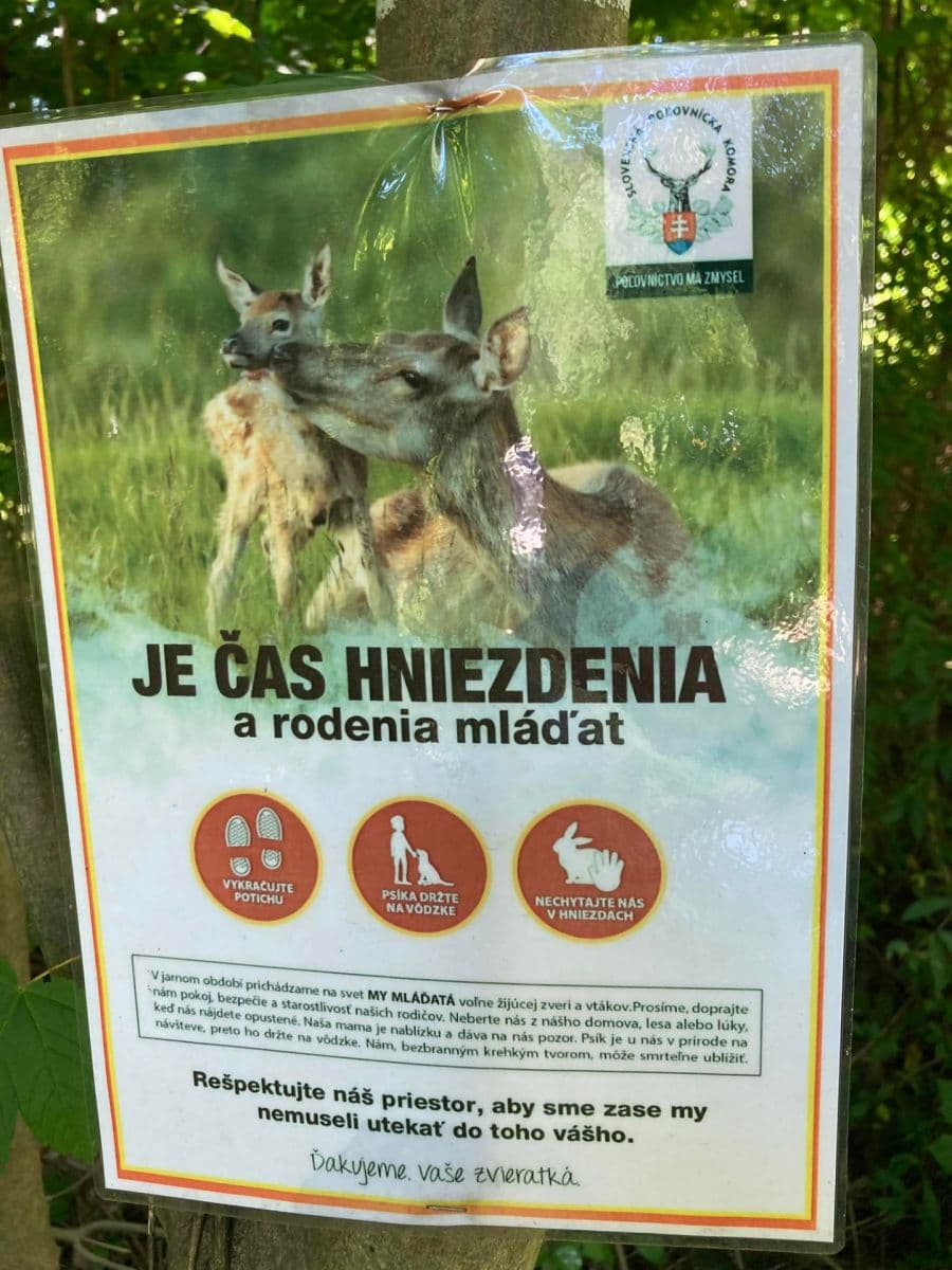 plot for sale, 13,139 m², Lubina, Trenčiansky Region plot for sale, 13,139 m², Lubina, Trenčiansky Region