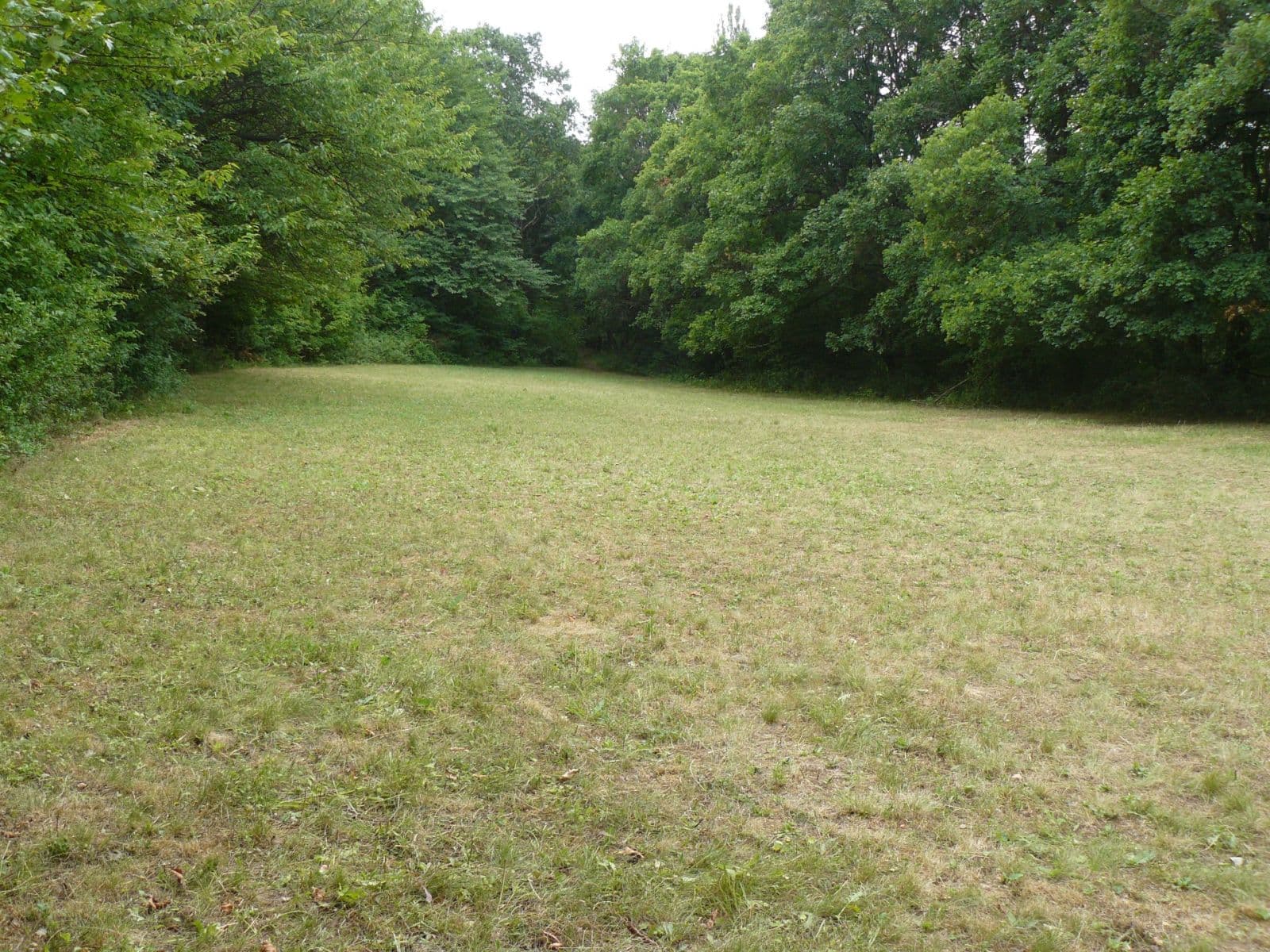 plot for sale, 13,139 m², Lubina, Trenčiansky Region plot for sale, 13,139 m², Lubina, Trenčiansky Region